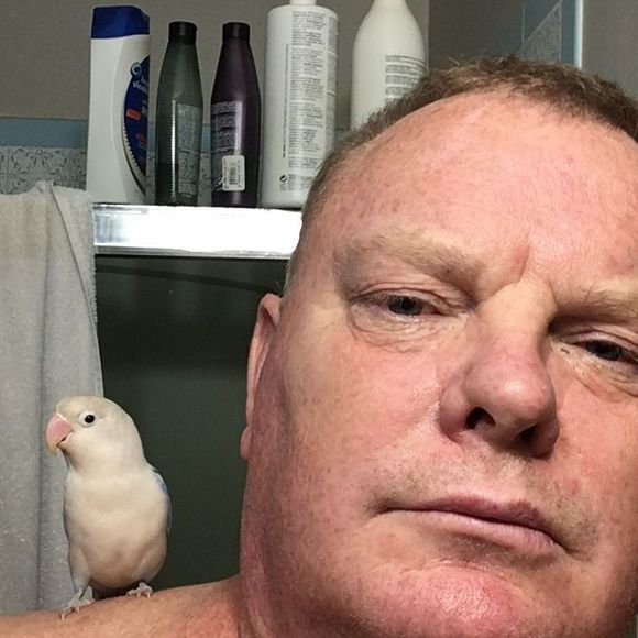 Meet your Posher, Jeff - Picture 1 of 1